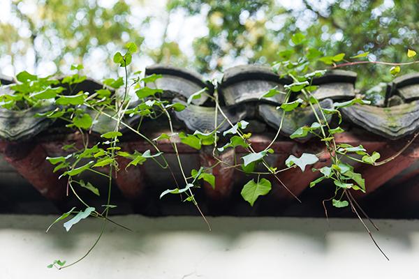 古建筑鋪瓦前有哪些準備和什么鋪瓦流程 古建筑鋪瓦前有哪些準備和什么鋪瓦流程