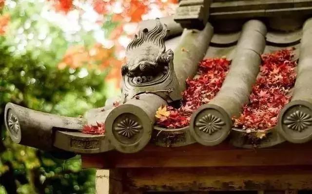 這樣的院子,只有中國人駕馭得了它!