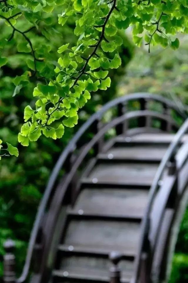 這樣的院子,只有中國人駕馭得了它!