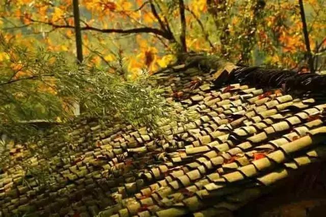 這樣的院子,只有中國人駕馭得了它!