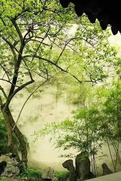 這樣的院子,只有中國人駕馭得了它!