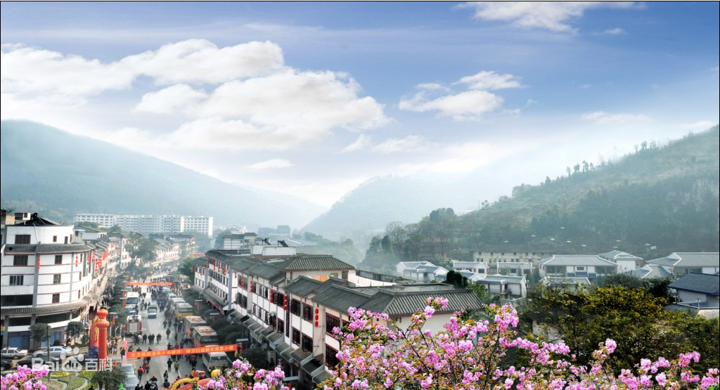 巴南樹(shù)脂瓦廠家直銷(xiāo)