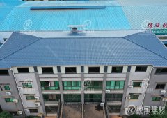 工廠樹(shù)脂瓦 - 房頂屋面瓦